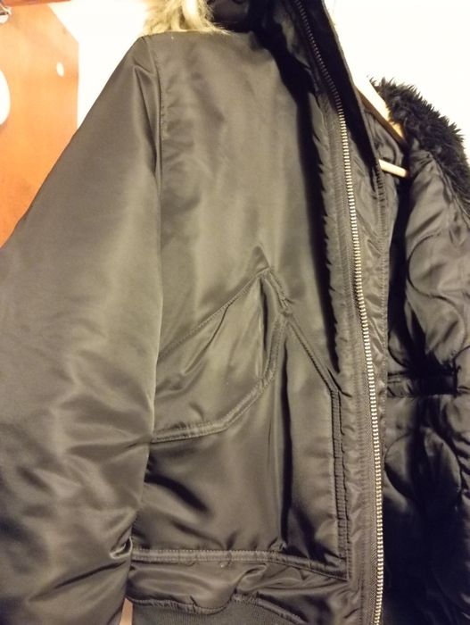 Bomberka męska Pitbull