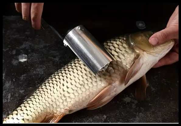 Рибочистка Електричний інструмент для видалення луски риби