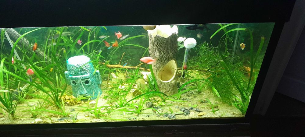 продам акваріум на 100л.