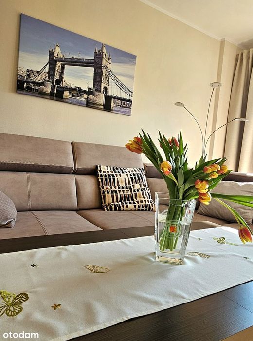 3 pokoje | 66,4 m² | z wyposażeniem, do zamieszkania | blisko ŚUM