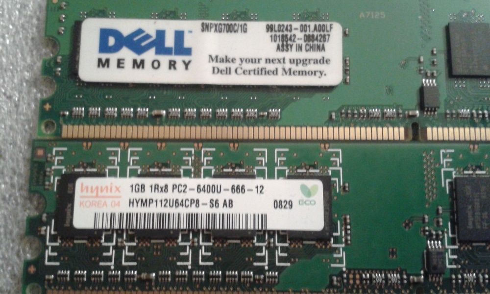 Pamięć RAM 1GB 1Rx8 PC2 - 6400U