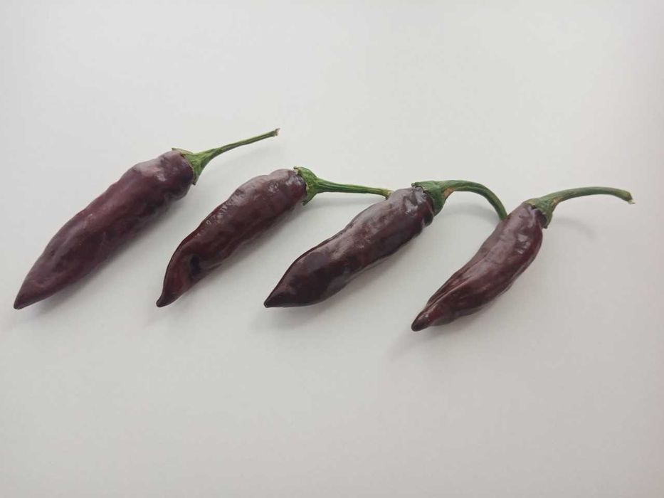 10 Sementes Pimenta Ethiopian Brown Berbere