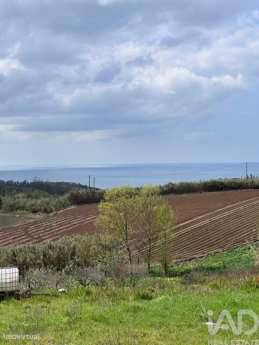 Terreno em Lourinhã e Atalaia de 3960,00 m2