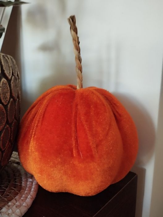 Dynia ozdobna welurowa