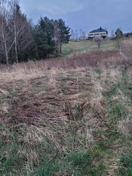 Piękna działka budowlana w Sandomierzu do sprzedania!25 arów! - Widok 3