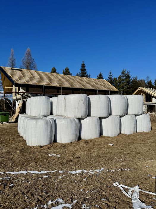 Sianokiszonka baloty bele