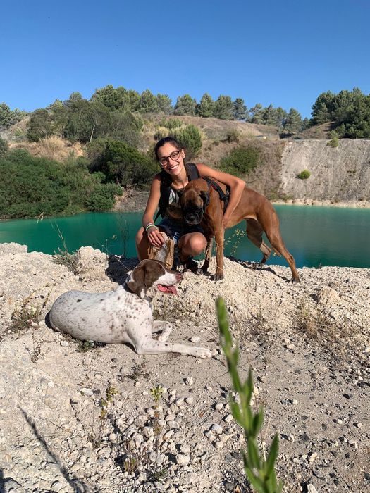Dog walking/ Pet sitting/ Estadia e Creche familiar