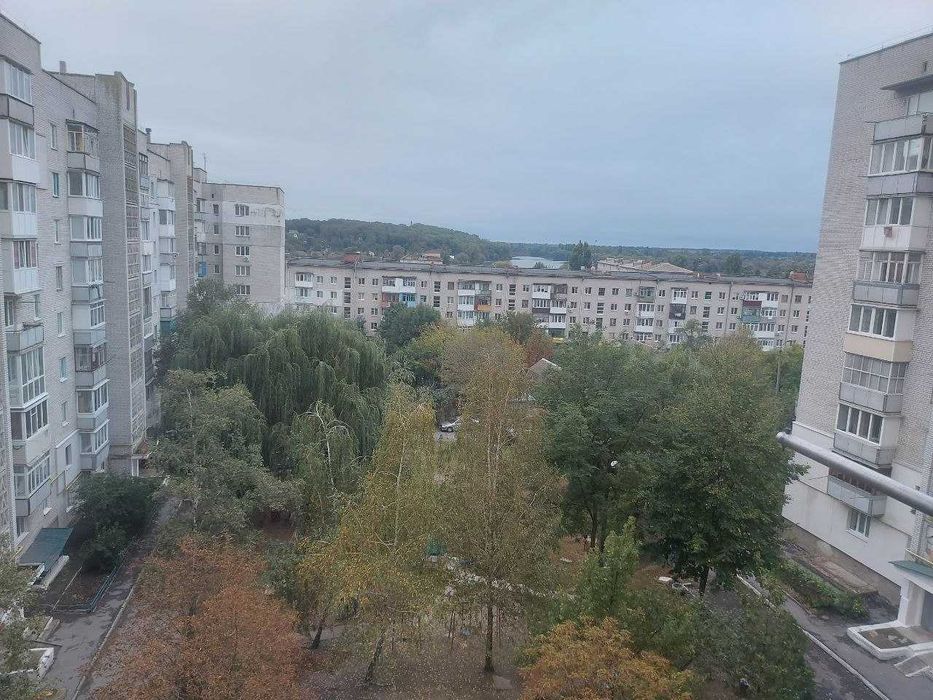 Здам 3-кімнатну квартиру в центрі міста