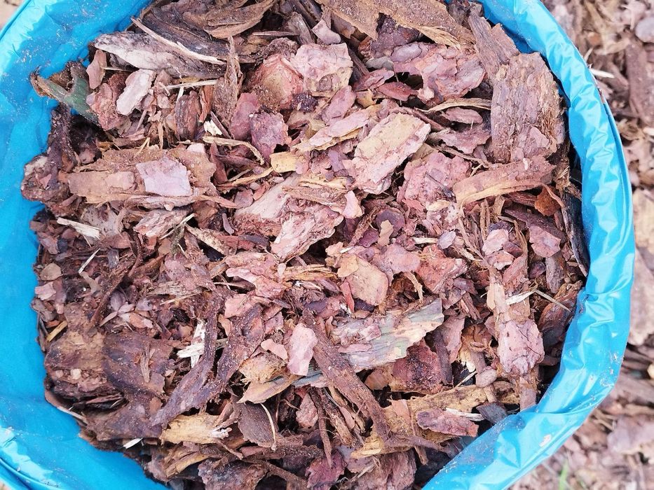 Kora sosnowa worki 80 litrów