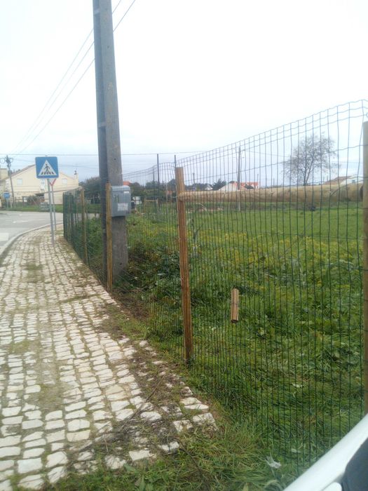 Manutenção de jardins Limpeza de terrenos