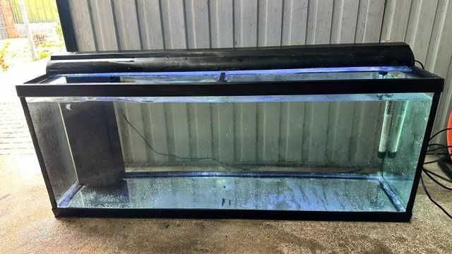 Aquário de 100 cm 30,5cm Largura Altura 40cm
