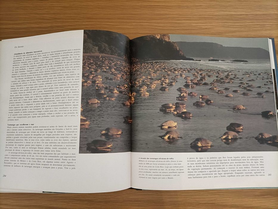 O Planeta Vivo - Um Retrato da Terra - David Attenborough