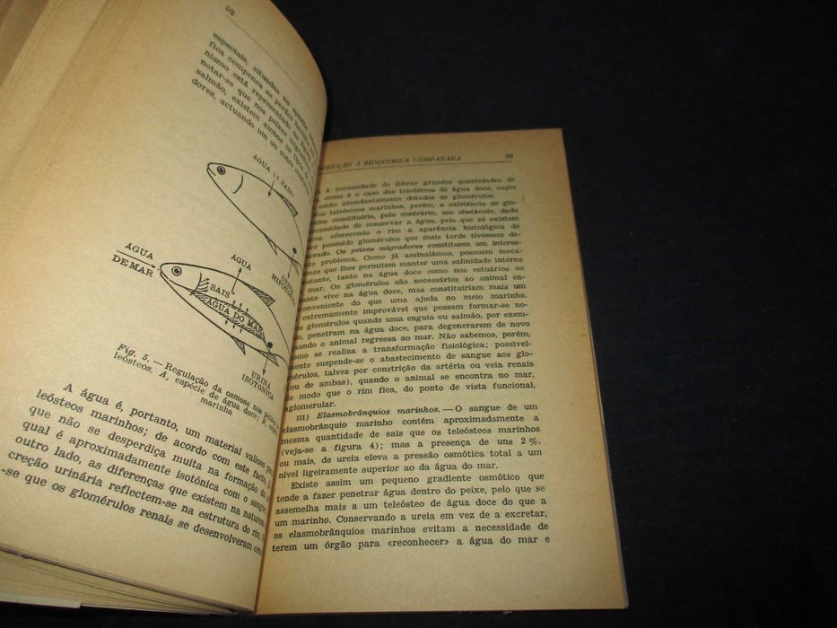 Livro Introdução à Bioquímica Comparada Ernest Baldwin