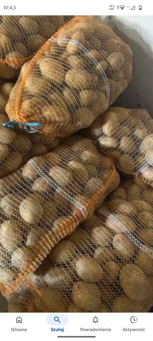 Ziemniaki jadalne jurek