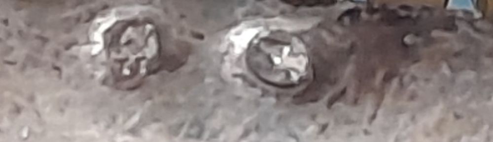 Escovas em Prata javali