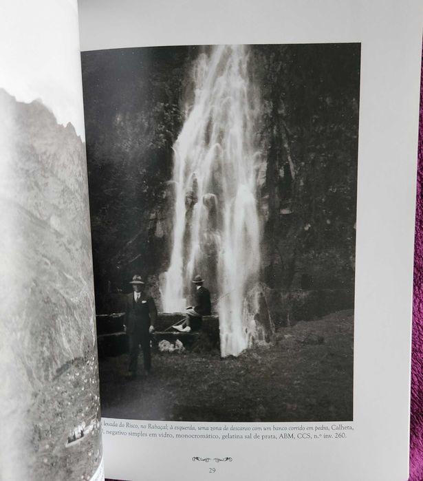 Charles Courtney Shaw- Fotografias da Madeira [de 1920 à década de 40]