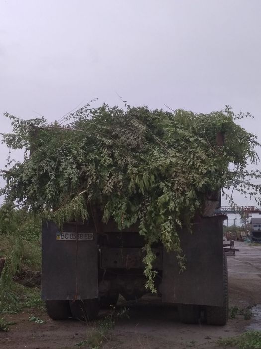 Вывоз мусора, расчистка участка, погрузка, уборка помещений и т. д