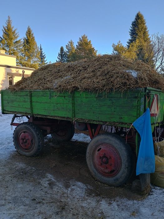 Obornik koński oddam
