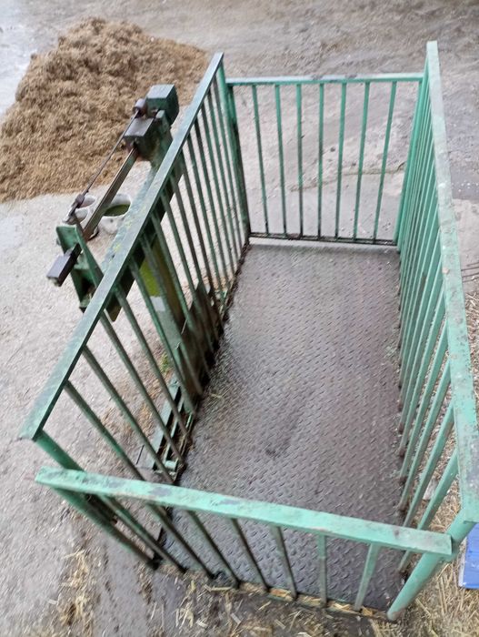 Waga do Żywca do 1500 kg