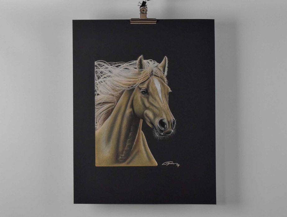 Quadro desenhado a Pastel seco "O Cavalo"