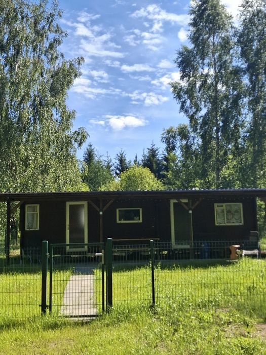 Noclegi nad jeziorem Rydzewo zwierzęta mile widziane.