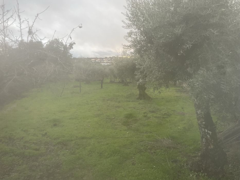 Terreno urbano e rustico