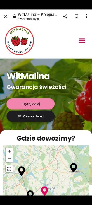 Maliny. owoce malin
