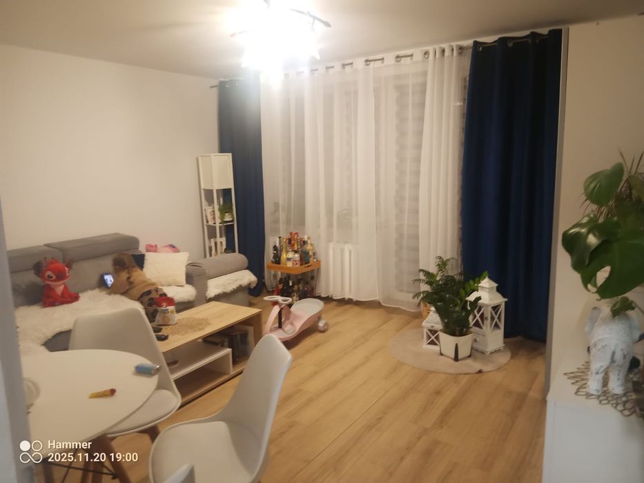 Mieszkanie 3 pokoje na patrerze sprzedam