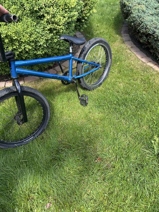 Bmx galaxy early bird