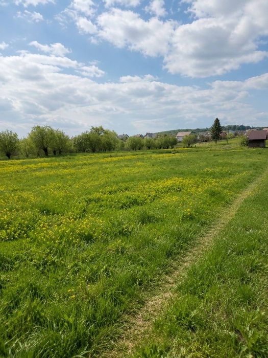 Будинок в с. Надіїв