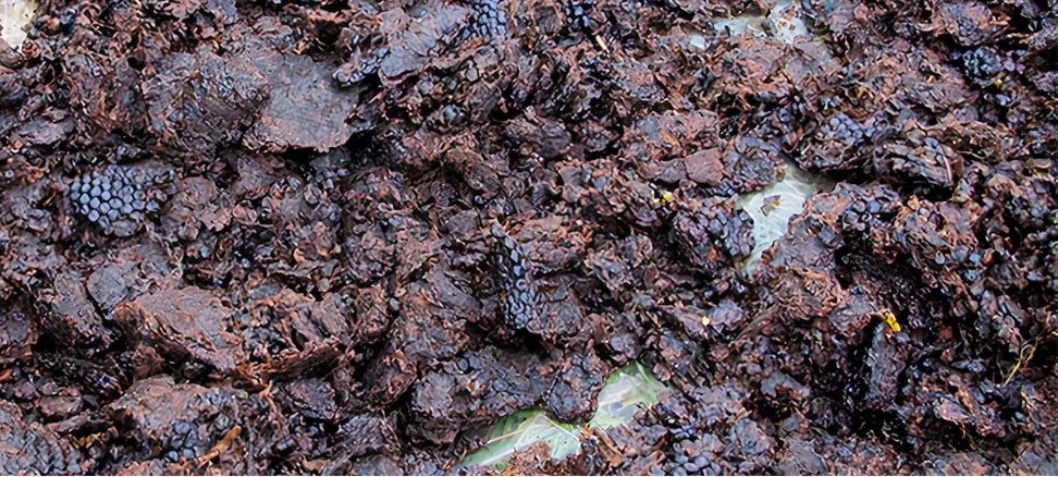 Мерва бджолина продам