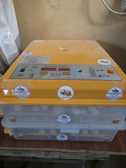 Vendo 2 chucadeiras em ótimo estado geral