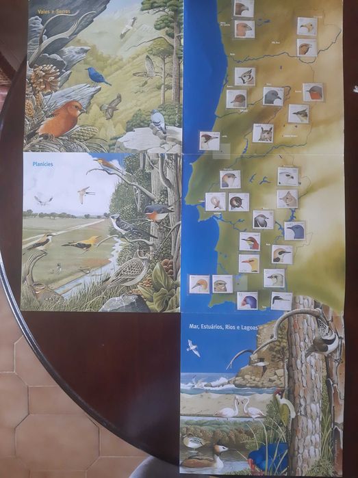 Carteira Especial Aves de Portugal