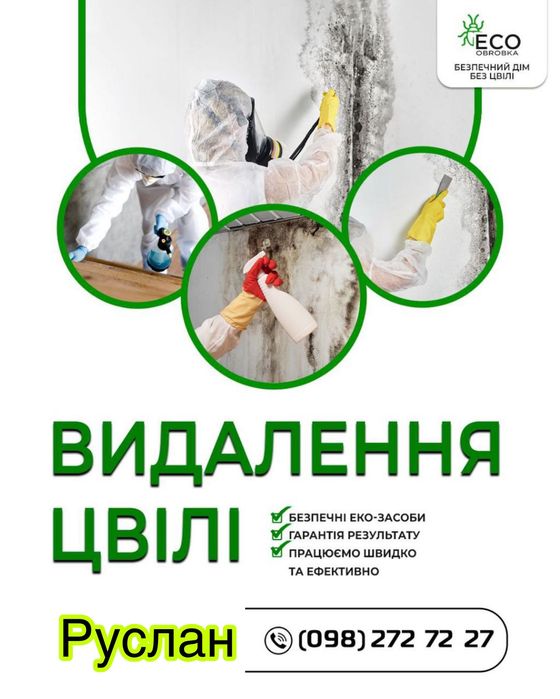 Знищення плісняви, видалення грибка , цвілі , запахів  Дезінфекція