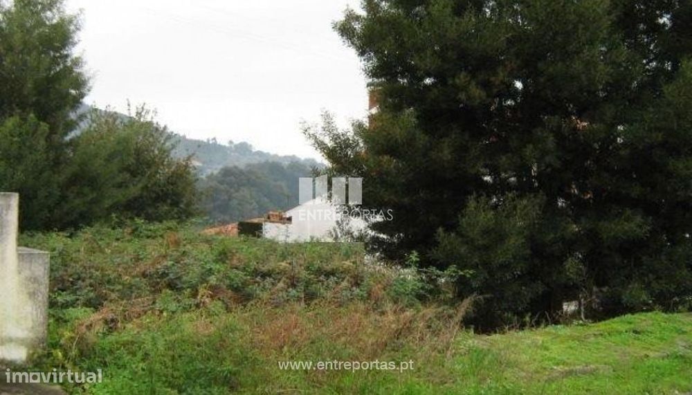 Lote - Afife — Afife, Viana do Castelo