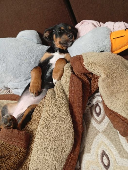 Дівчинка 3 місяці