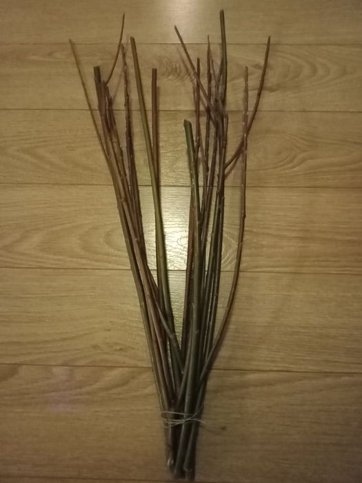 Przysmaki gałązki wierzby szynszyla świnka morska królik chomik