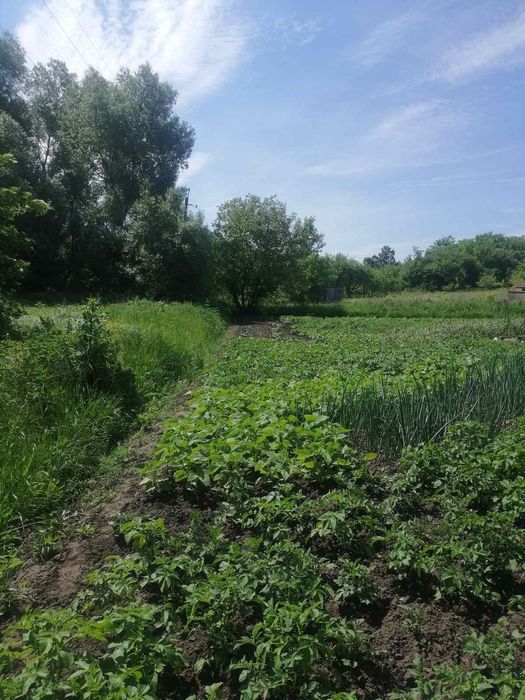 Продам ділянку в Лезнево