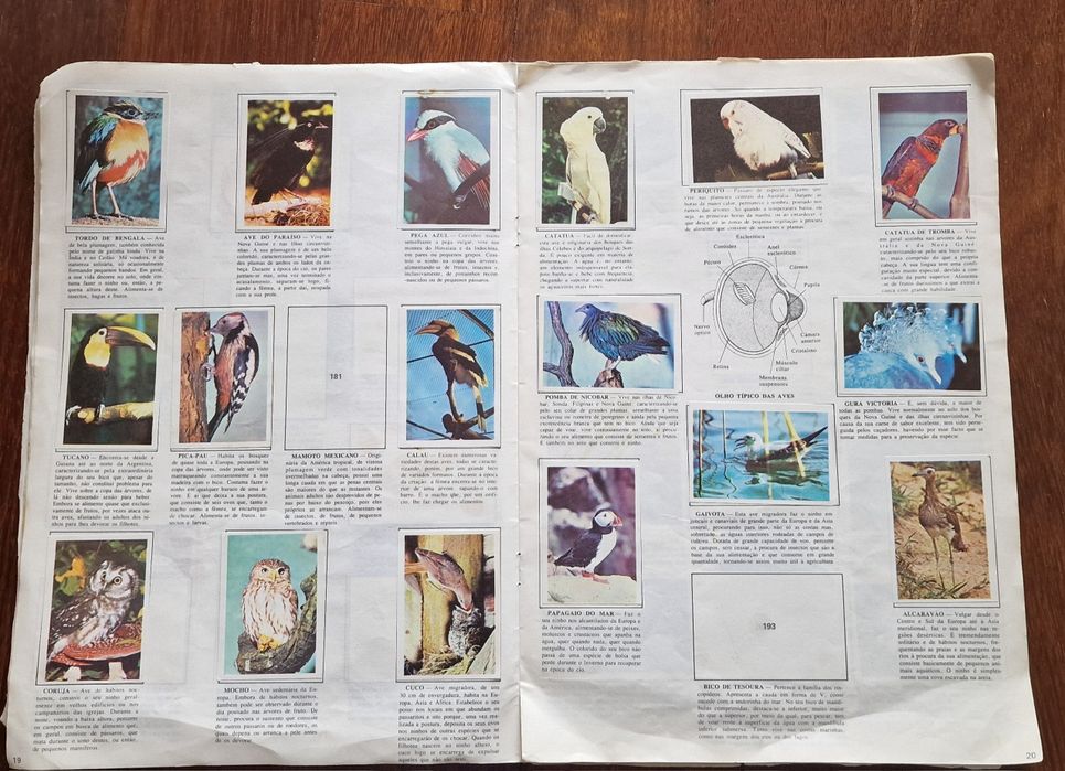 Old incomplete notebook427636628673669122