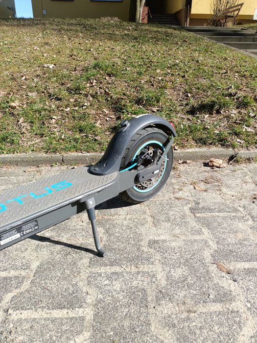 Hulajnoga Motus  Scooty 10 lite 2022