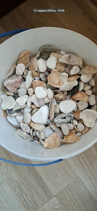 Продам морські камінчики для акваріума.