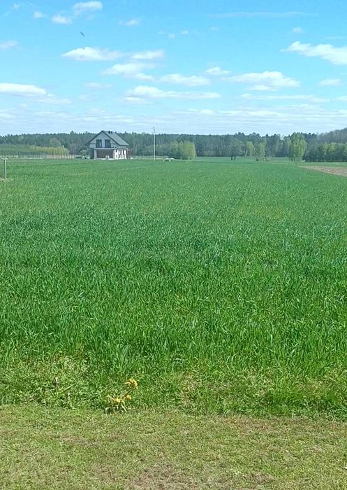 Przestronna działka budowlana 32 ary (3198 m²) | Miedzna Drewniana | Spokojny azyl - Widok 2