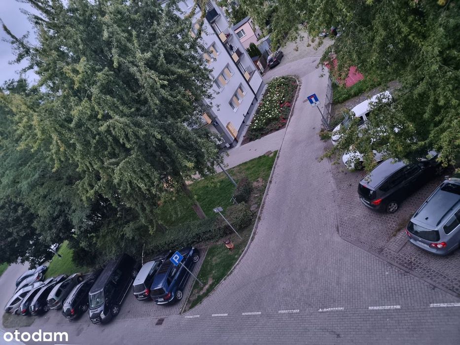 Zdjęcie 8