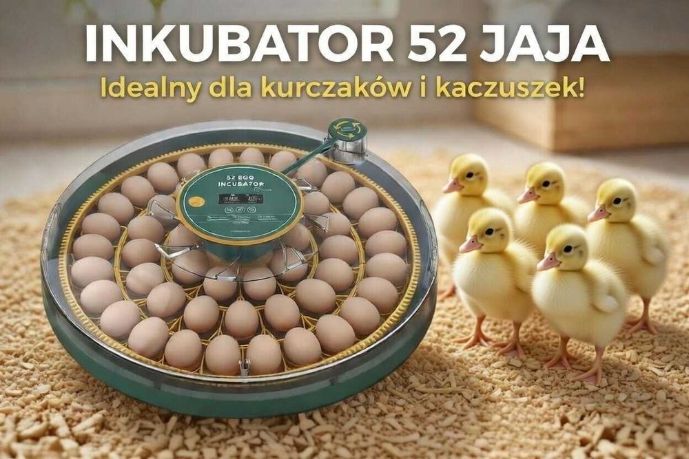 Inkubator do jaj automatyczny z wyświetlaczem wilgotności OVOstart 52