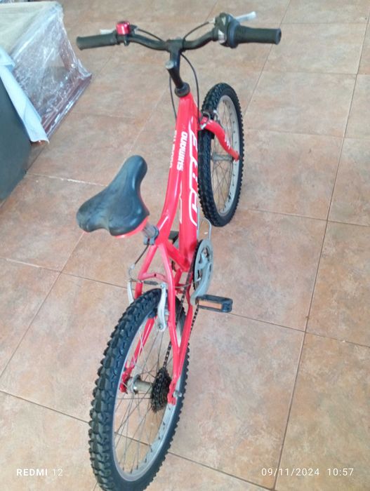 Bicilceta Criança Roda 20 Troco