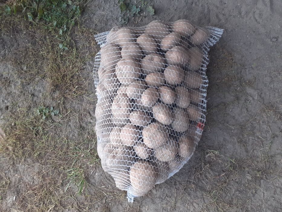 Sprzedam ziemniaki Irga