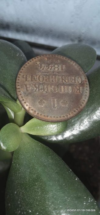 Монети старі різні