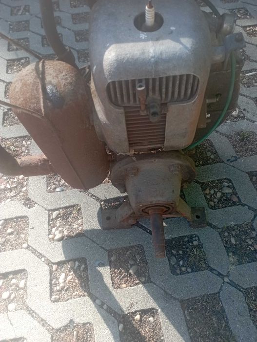 Silnik dzik motopompa dwusuw