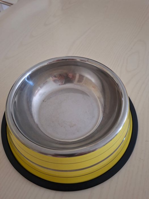 Conjunto acessorios para Gatos