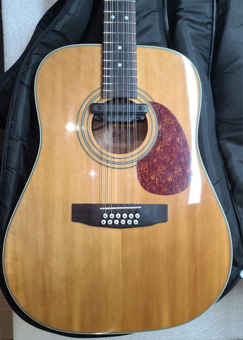 12ти струнная Cort AD870 + звукосниматель